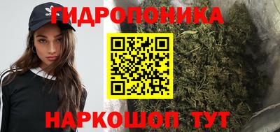 PSILOCYBIN Малоярославец