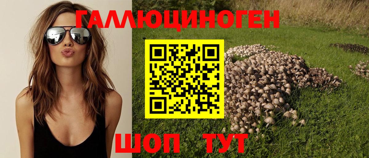 Псилоцибиновые грибы ЛСД Якутск