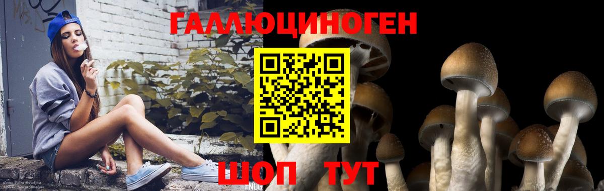 Конопля Якутск